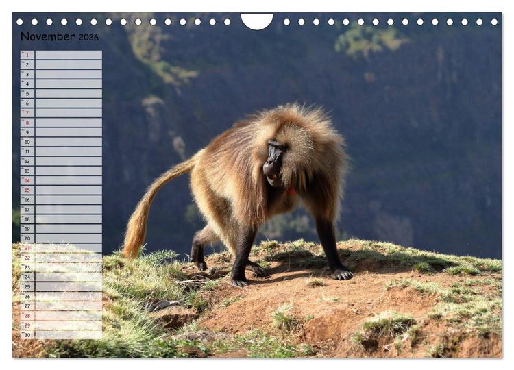 Produktbild: Abenteuer &Auml;thiopien (Wandkalender 2026 DIN A4 quer), CALVENDO Monatskalender