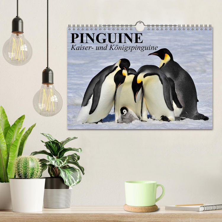 Produktbild: Pinguine - Kaiser- und K&ouml;nigspinguine (Wandkalender 2026 DIN A4 quer), CALVENDO Monatskalender