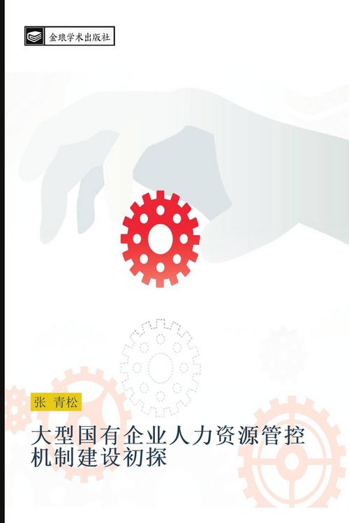 Produktbild: Da xing guo you qi ye ren li zi yuan guan kong ji zhi jian she chu tan
