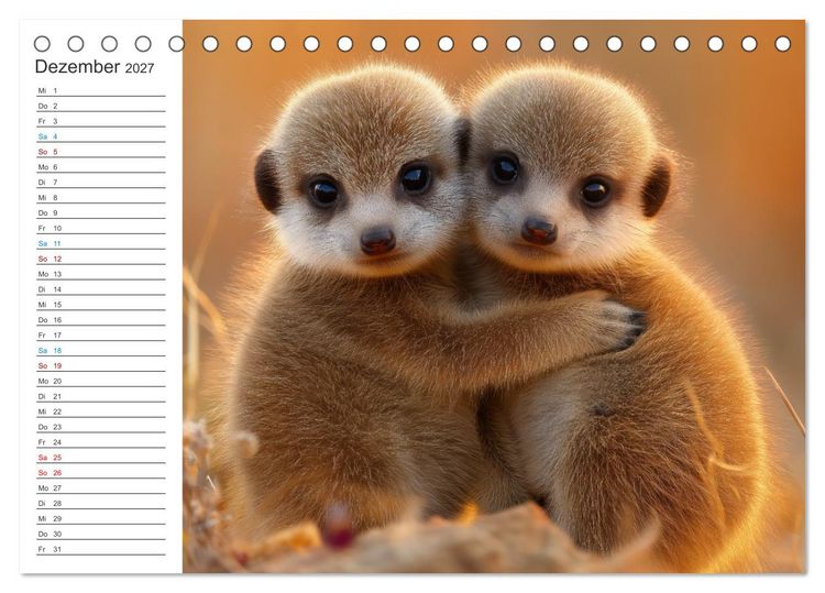 Produktbild: Die Welt der Erdm&auml;nnchen (Tischkalender 2027 DIN A5 quer), CALVENDO Monatskalender