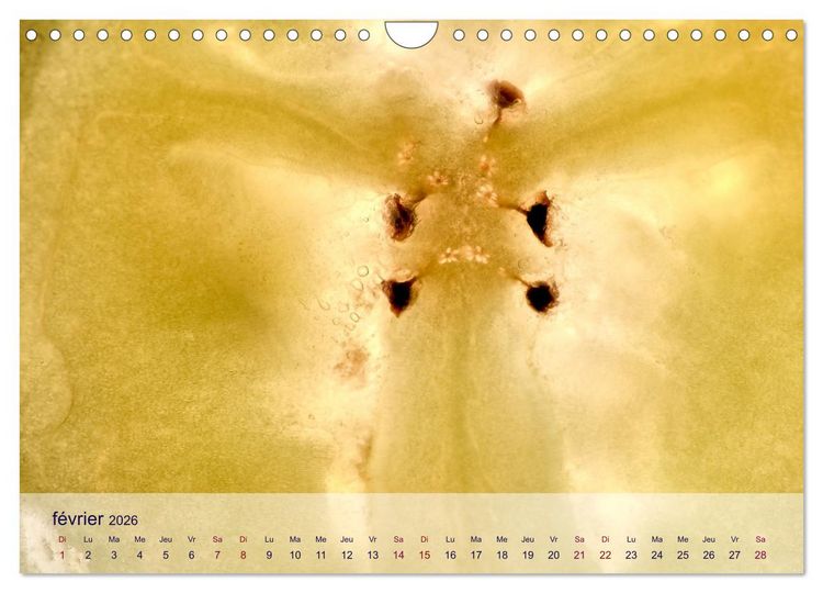 Produktbild: C&oelig;ur de fruits c&oelig;ur de l&eacute;gumes (Calendrier mural 2026 DIN A4 vertical), CALVENDO calendrier mensuel