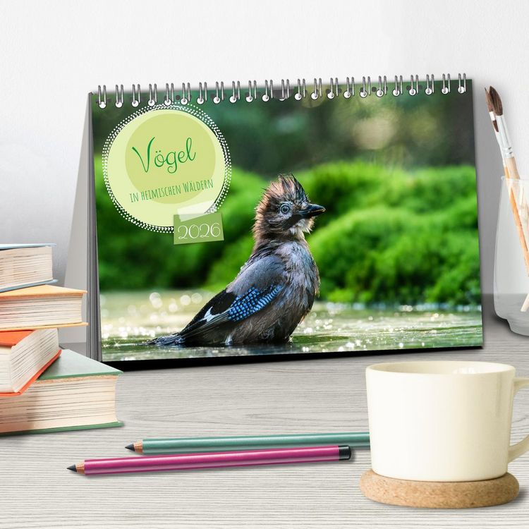 Produktbild: V&ouml;gel in heimischen W&auml;ldern (Tischkalender 2026 DIN A5 quer), CALVENDO Monatskalender