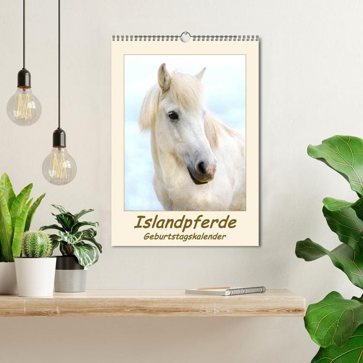 Produktbild: Islandpferde Geburtstagskalender (Wandkalender 2026 DIN A3 hoch), CALVENDO Monatskalender