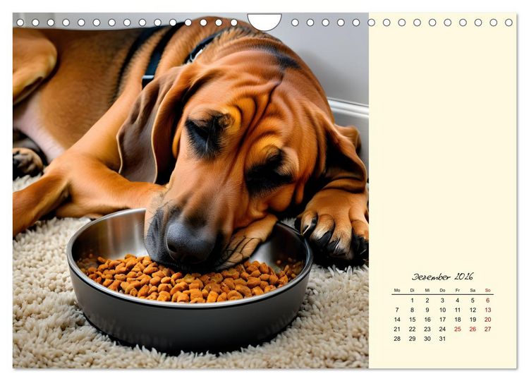Produktbild: Bloodhound - M&auml;chtige Sp&uuml;rnase (Wandkalender 2026 DIN A4 quer), CALVENDO Monatskalender