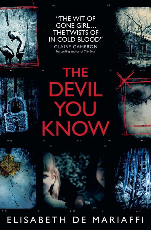 Produktbild: The Devil You Know