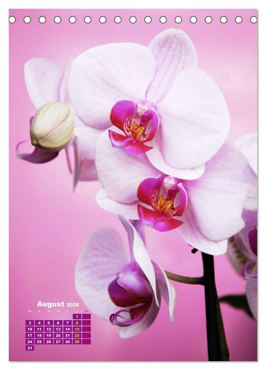 Produktbild: Orchideensch&auml;tze (Tischkalender 2026 DIN A5 hoch), CALVENDO Monatskalender