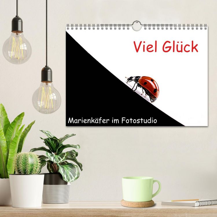 Produktbild: Viel Gl&uuml;ck - Marienk&auml;fer im Fotostudio (Wandkalender 2026 DIN A4 quer), CALVENDO Monatskalender