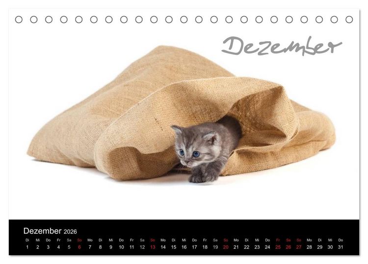 Produktbild: Katzenbabys (Tischkalender 2026 DIN A5 quer), CALVENDO Monatskalender