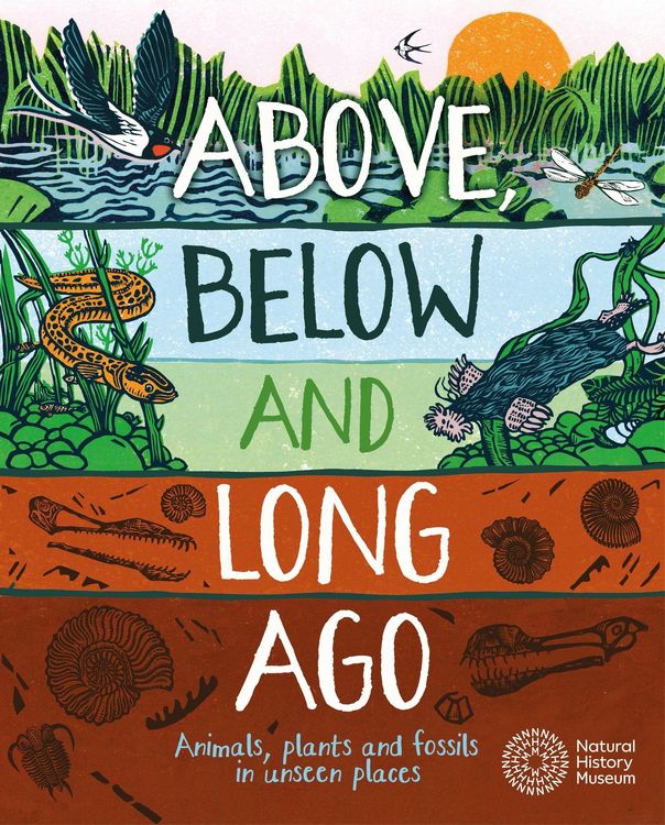 Produktbild: Above, Below and Long Ago