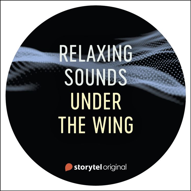 Produktbild: Under the Wing