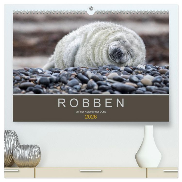 Produktbild: Robben auf der Helgol&auml;nder D&uuml;ne (hochwertiger Premium Wandkalender 2026 DIN A2 quer), Kunstdruck in Hochglanz