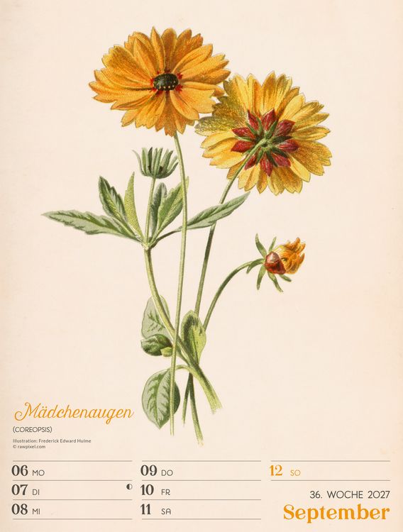 Produktbild: Ars Floralis Wochenplaner Kalender 2027