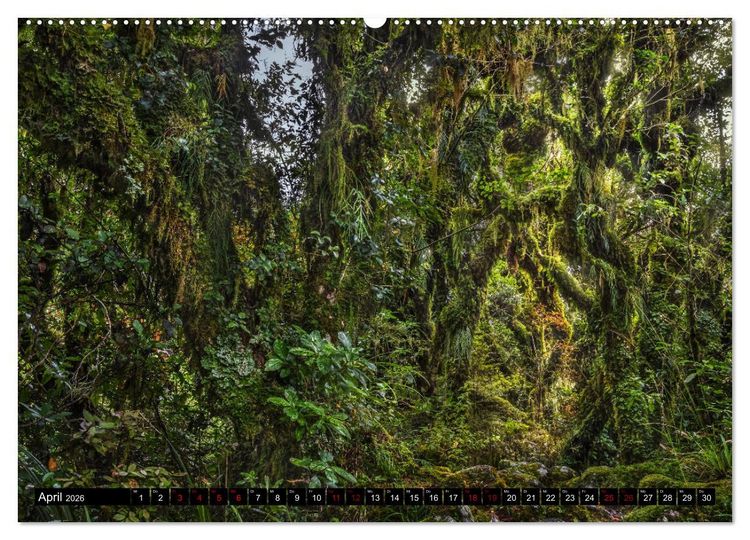 Produktbild: Trauminseln Neuseeland (Wandkalender 2026 DIN A2 quer), CALVENDO Monatskalender