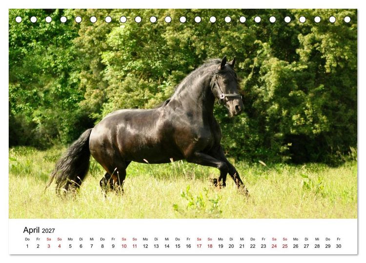 Produktbild: Friesen - Kraft und Eleganz (Tischkalender 2027 DIN A5 quer), CALVENDO Monatskalender