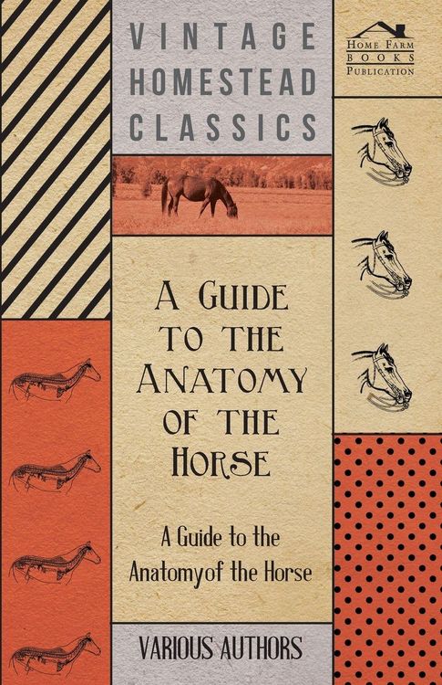 Produktbild: A Guide to the Anatomy of the Horse - A Collection of Historical Articles on the Skeleton, Hoof, Teeth, Locomotion and Other Aspects of Equine Anato