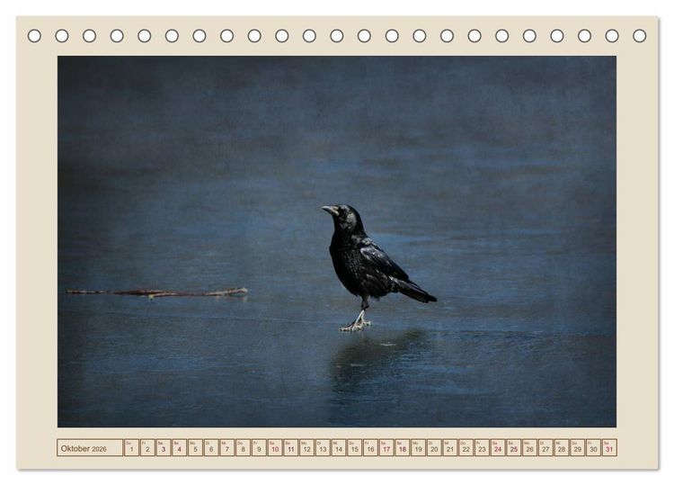 Produktbild: V&ouml;gel am Chemnitzer Schlossteich (Tischkalender 2026 DIN A5 quer), CALVENDO Monatskalender