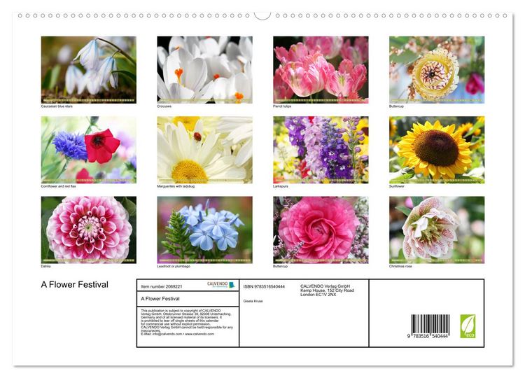 Produktbild: A Flower Festival (High Quality Premium Wall Calendar 2026 DIN A2 landscape),CALVENDO 12 Month Wall Calendar