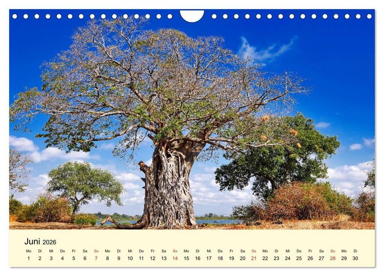 Produktbild: Traumhaftes Malawi (Wandkalender 2026 DIN A4 quer), CALVENDO Monatskalender