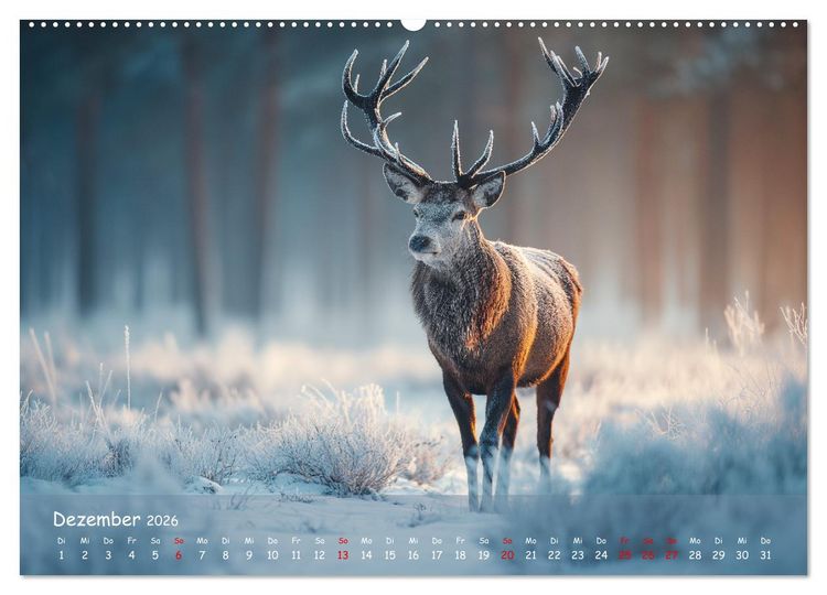 Produktbild: Jagd und Natur - Kalender f&uuml;r J&auml;ger mit Wildtieren Deutschlands im Jahreslauf (hochwertiger Premium Wandkalender 2026 DIN A2 quer), Kunstdruck in Hochglanz