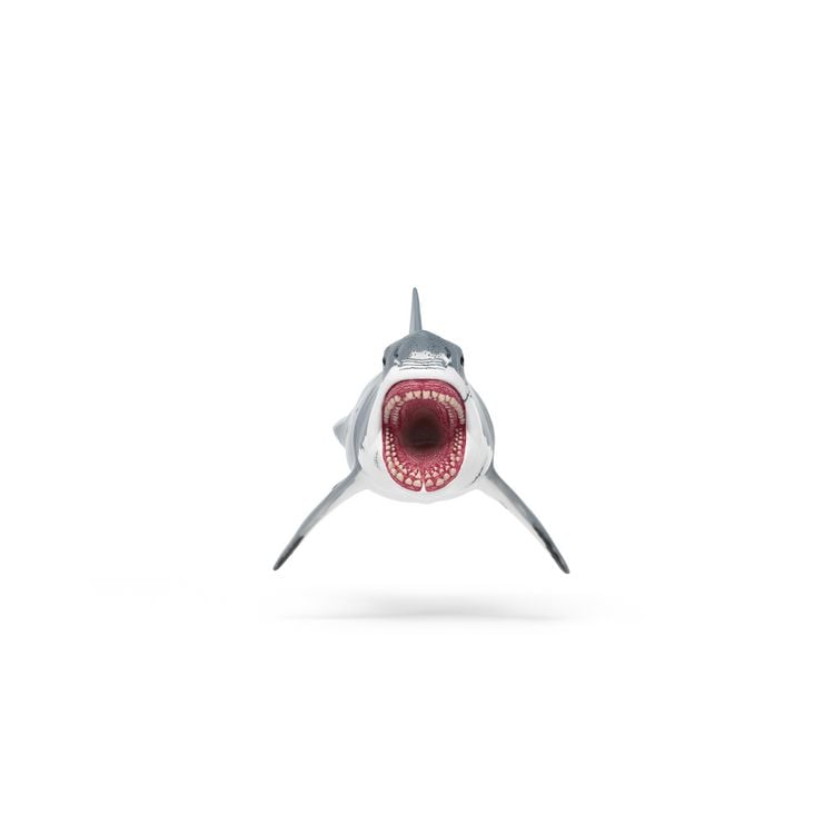 Produktbild: schleich&reg; 15055 Megalodon