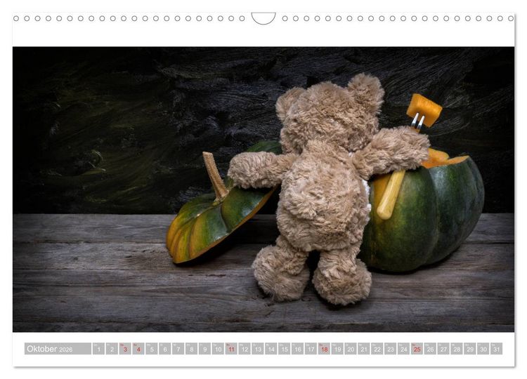 Produktbild: Eddy, der Teddy - 12 Bilder zum Schmunzeln (Wandkalender 2026 DIN A3 quer), CALVENDO Monatskalender