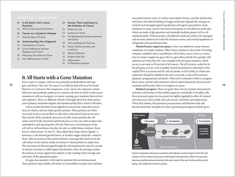 Produktbild: Holistic Cancer Care