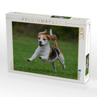 Produktbild: CALVENDO Puzzle Beagle - Fliegende Ohren | 1000 Teile Lege-Gr&ouml;&szlig;e 64x48cm Foto-Puzzle f&uuml;r gl&uuml;ckliche Stunden