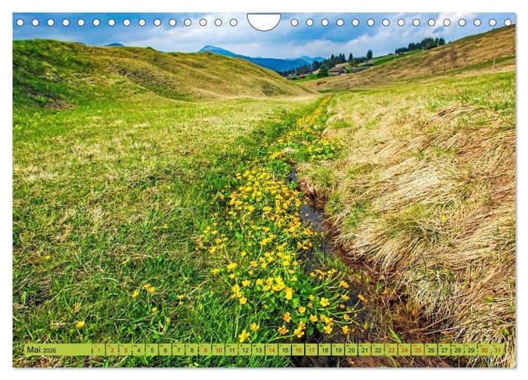 Produktbild: Die Buckelwiesen im Oberen Isartal (Wandkalender 2026 DIN A4 quer), CALVENDO Monatskalender