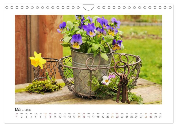 Produktbild: Blumen, Bl&uuml;ten, Dekoliebe (Wandkalender 2026 DIN A4 quer), CALVENDO Monatskalender