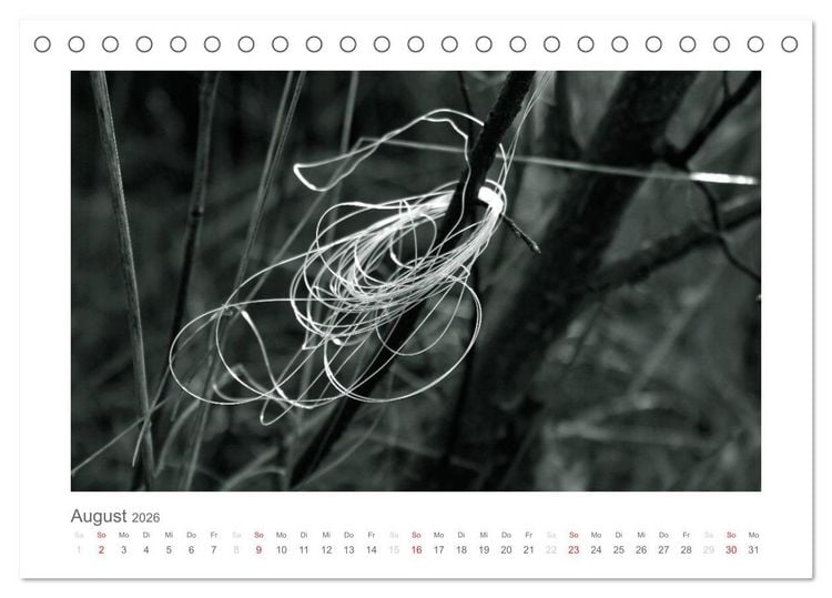 Produktbild: einfach schwarz-wei&szlig; (Tischkalender 2026 DIN A5 quer), CALVENDO Monatskalender