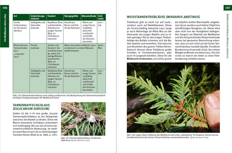 Produktbild: Waldtracht von Fichte und Tanne
