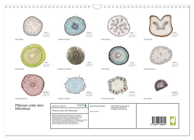 Produktbild: Pflanzen unter dem Mikroskop (Wandkalender 2026 DIN A3 quer), CALVENDO Monatskalender