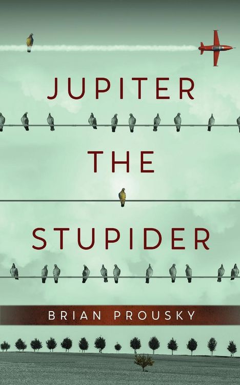 Produktbild: Jupiter the Stupider