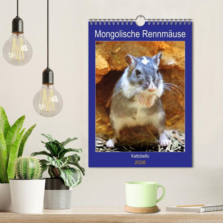 Produktbild: Mongolische Rennm&auml;use (Wandkalender 2026 DIN A4 hoch), CALVENDO Monatskalender