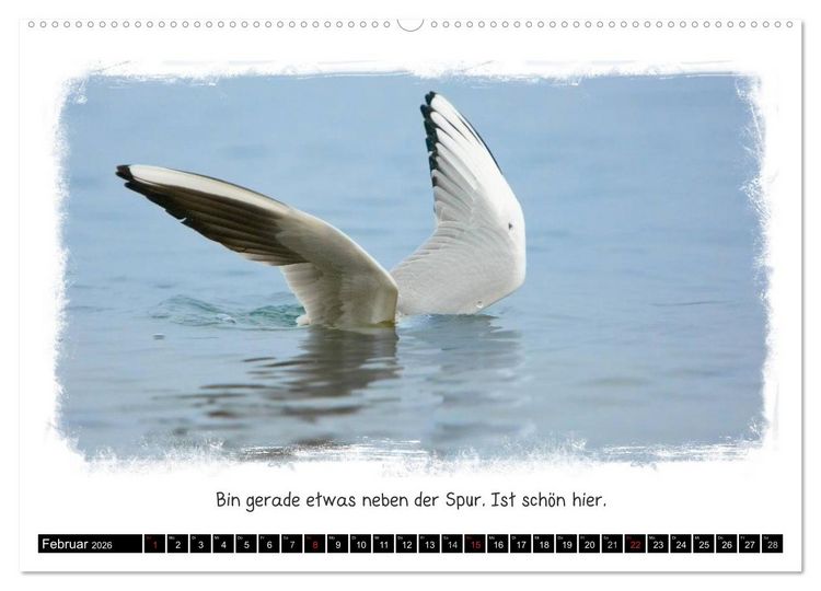 Produktbild: Tierisch witzig (hochwertiger Premium Wandkalender 2026 DIN A2 quer), Kunstdruck in Hochglanz