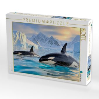 Produktbild: CALVENDO Puzzle Zwei, die die Welt erkunden | 1000 Teile Lege-Gr&ouml;&szlig;e 64x48cm Foto-Puzzle f&uuml;r gl&uuml;ckliche Stunden