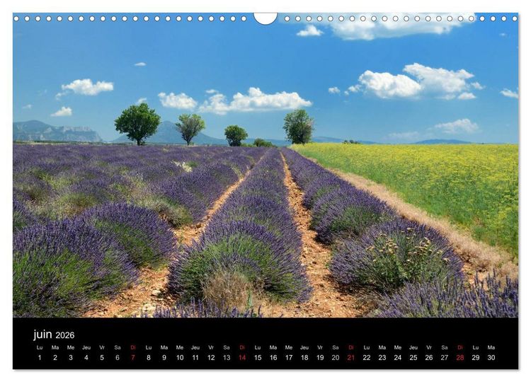Produktbild: Paysages de Provence (Calendrier mural 2026 DIN A3 vertical), CALVENDO calendrier mensuel