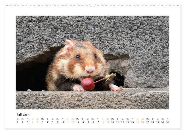 Produktbild: Wiener Tierwelt (Wandkalender 2026 DIN A2 quer), CALVENDO Monatskalender