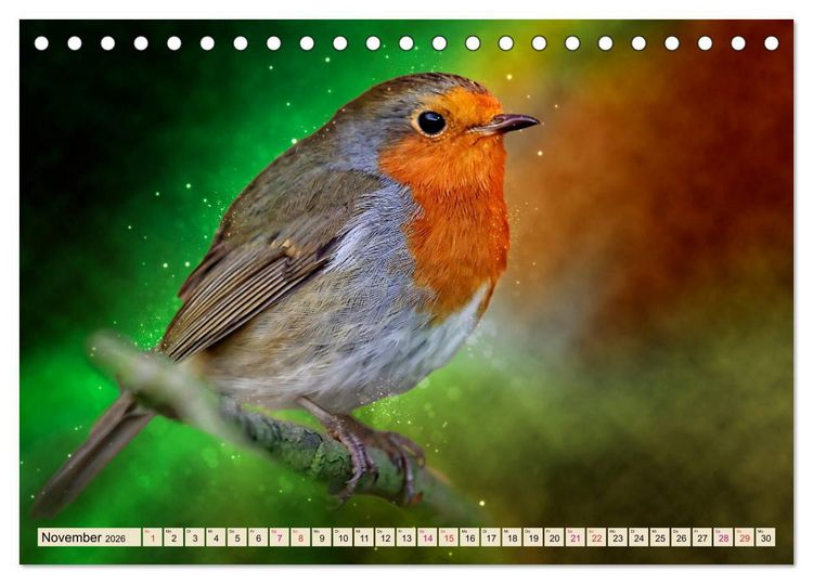 Produktbild: Bei uns im Garten - Rotkehlchen (Tischkalender 2026 DIN A5 quer), CALVENDO Monatskalender