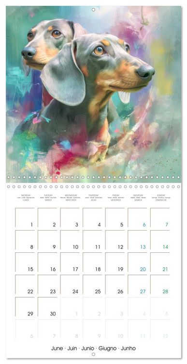 Produktbild: Dachshunds Illustrations - A hunter with humorous nature (Wall Calendar 2026 12 &times; 12 Inch) CALVENDO 12 Month Wall Calendar