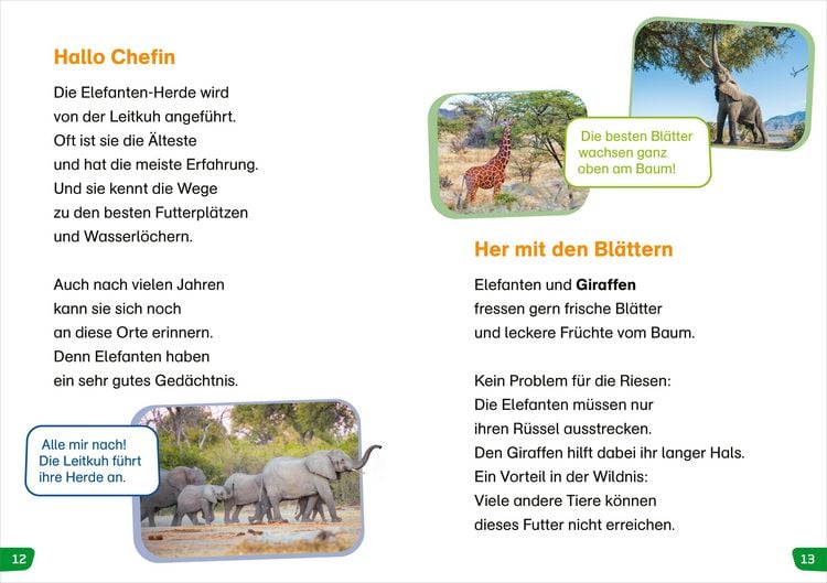 Produktbild: WAS IST WAS Erstes Lesen easy! Tiere in Afrika