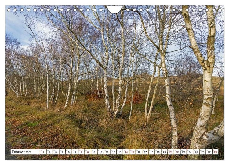 Produktbild: Wintertage auf Norderney (Wandkalender 2026 DIN A4 quer), CALVENDO Monatskalender