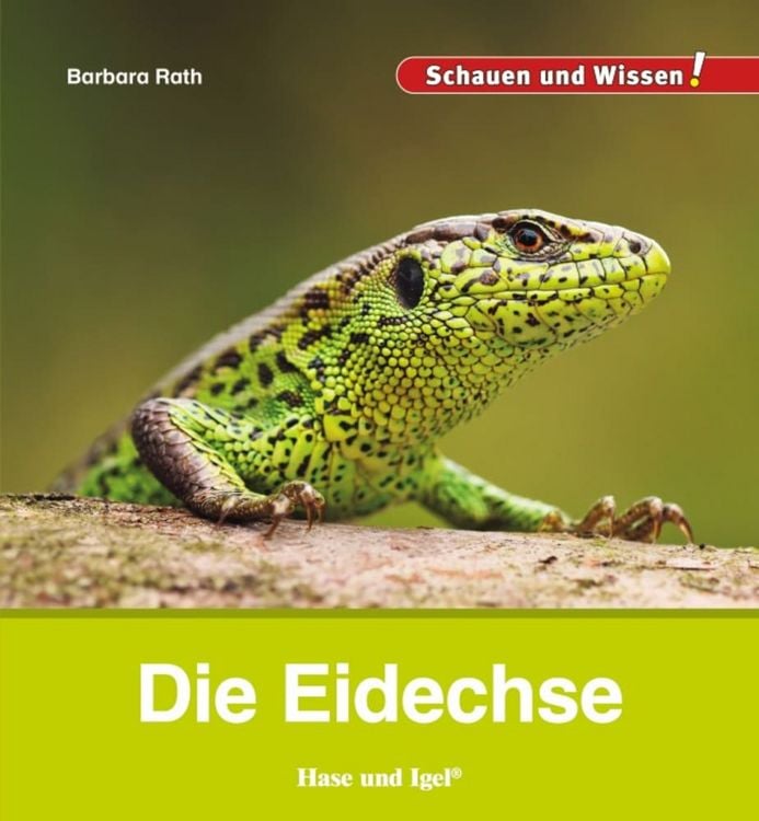 Produktbild: Die Eidechse