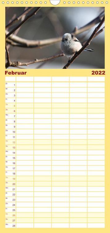 Produktbild: Familienplaner Gartenv&ouml;gel (Wandkalender 2022 , 21 cm x 45 cm, hoch)