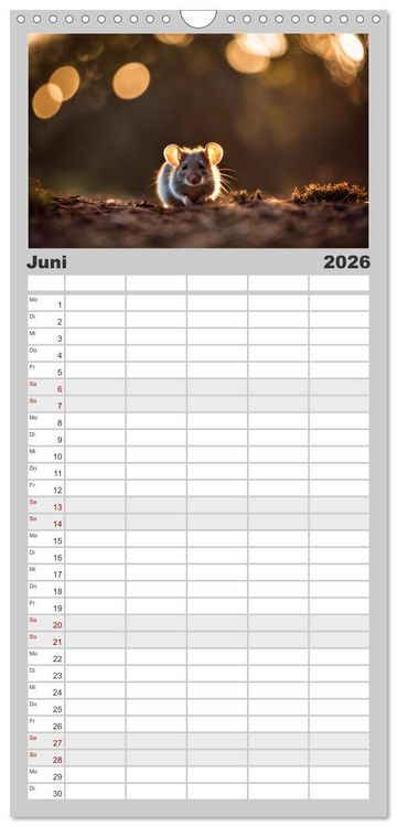 Produktbild: Familienplaner 2026 - Heimische Tiere im Mondlicht mit 5 Spalten (Wandkalender, 21 x 45 cm) CALVENDO