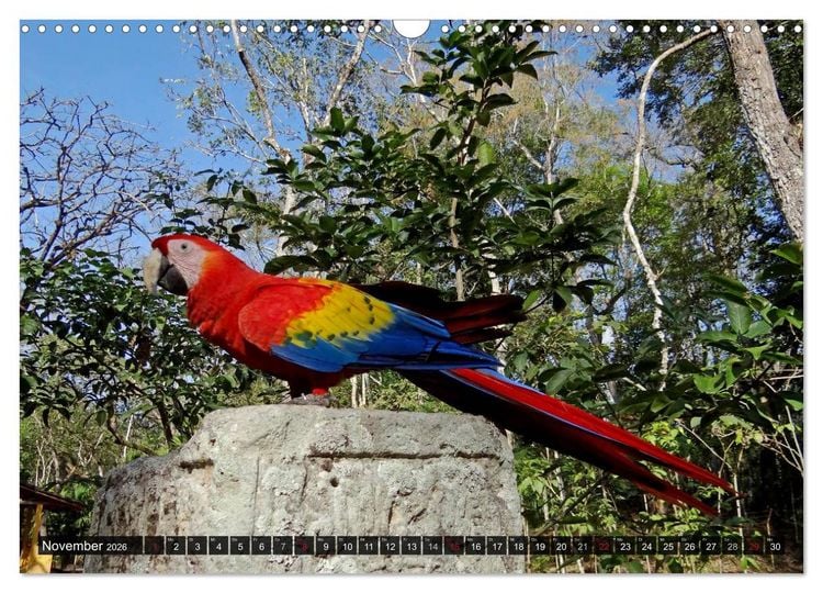 Produktbild: Von Mayas und Azteken - Mexiko, Guatemala und Honduras (Wandkalender 2026 DIN A3 quer), CALVENDO Monatskalender