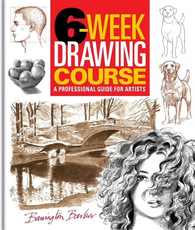 Produktbild: 6-Week Drawing Course
