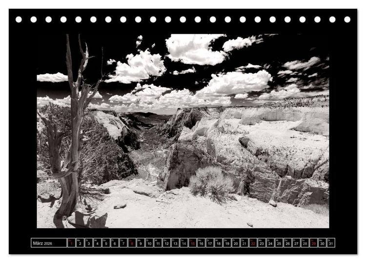 Produktbild: USA - 4000 Meilen S&uuml;dwest Hommage an die gro&szlig;en SW-Fotografen Amerikas (Tischkalender 2026 DIN A5 quer), CALVENDO Monatskalender