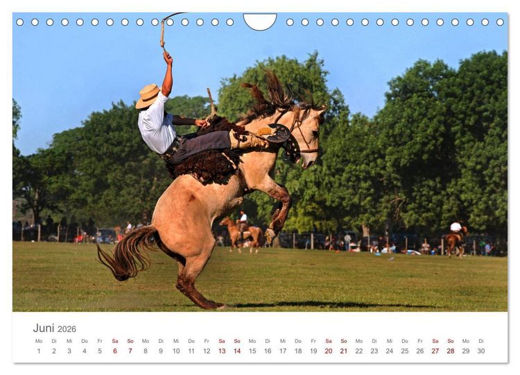 Produktbild: Faszinierendes Argentinien (Wandkalender 2026 DIN A4 quer), CALVENDO Monatskalender