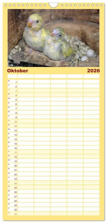 Produktbild: Familienplaner 2026 - Wellensittiche - Gefiederte Freunde mit 5 Spalten (Wandkalender, 21 x 45 cm) CALVENDO